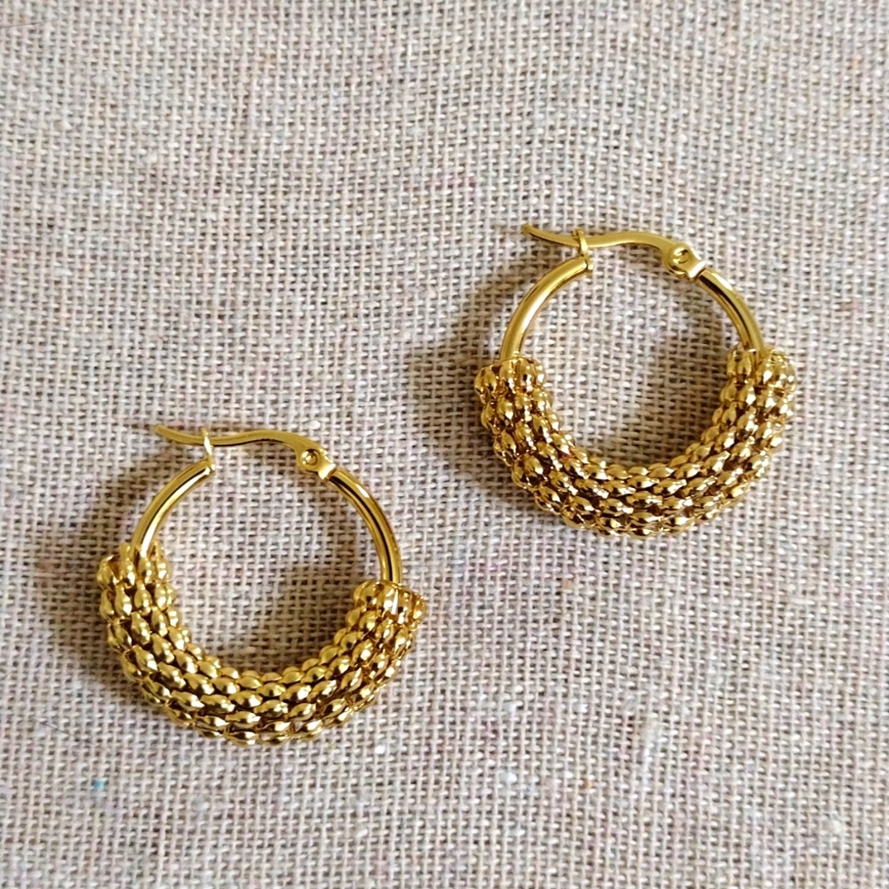 18 kt Gold over Titanium earrings
